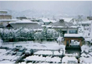 錦鯉の里屋根融雪